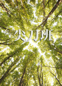 淑女的欲