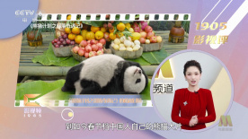 99精品欧美一区二区三区综合在线