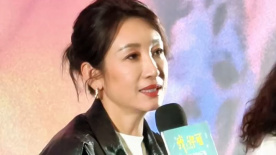 欧美爱视频